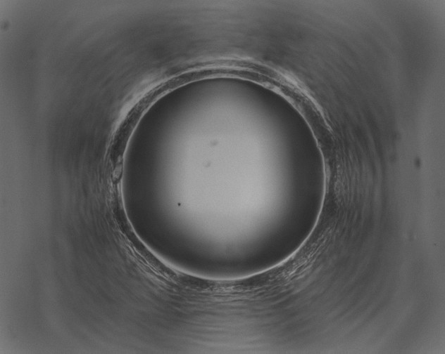 X0000077341360200611031745