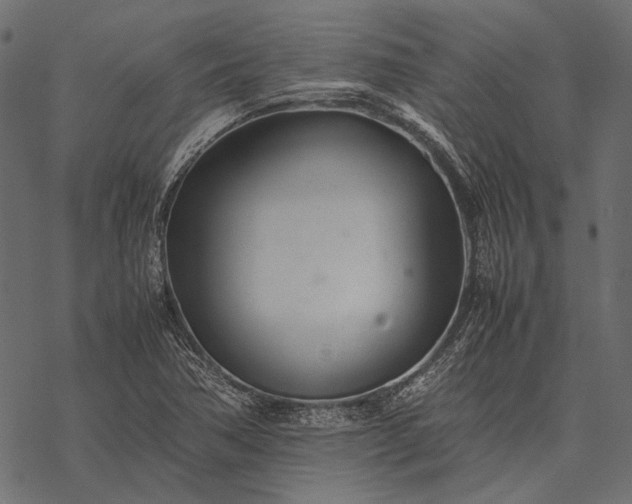 X0000077341362200611031745