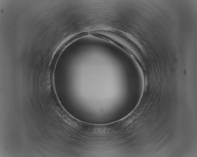 X0000077341364200611031745