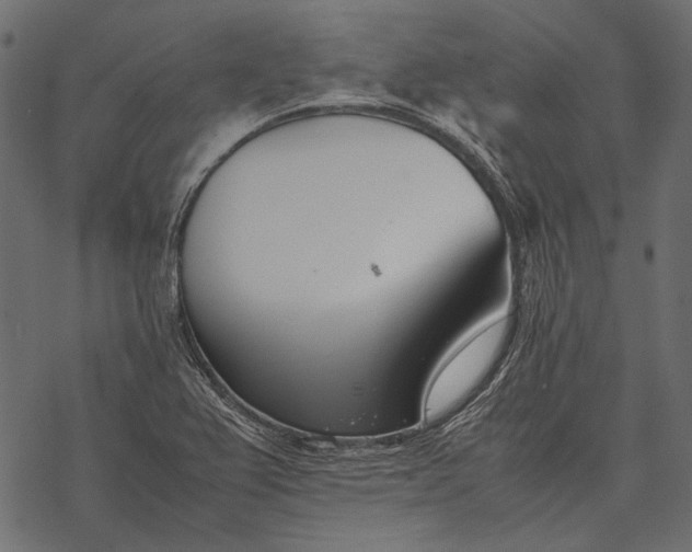 X0000077341367200611031745