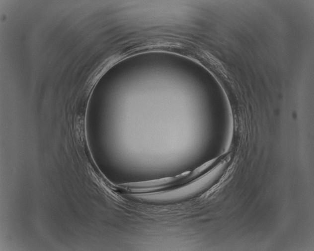 X0000077341369200611031745
