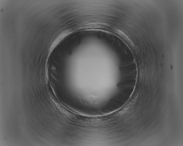X0000077341370200611031745