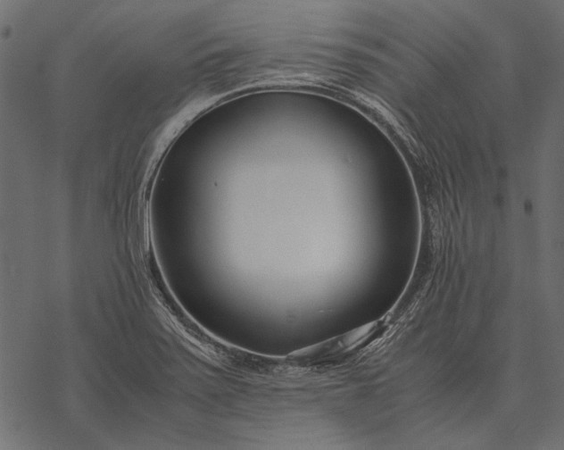 X0000077341371200611031745