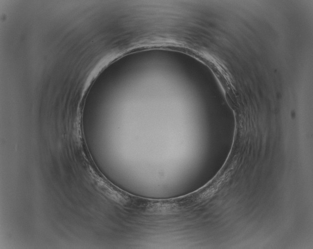 X0000077341374200611031745