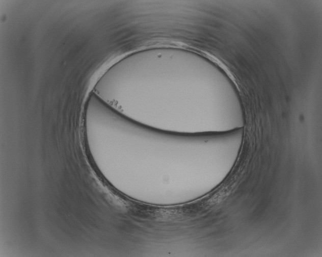 X0000077341379200611031745