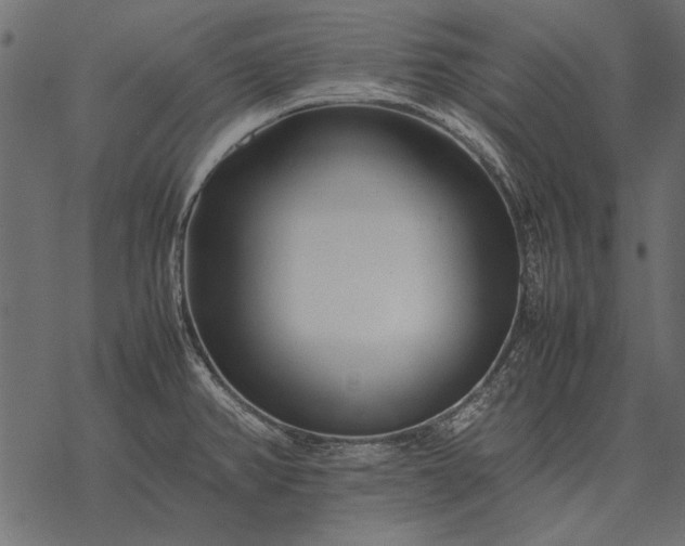 X0000077341382200611031745