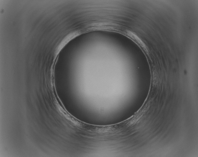 X0000077341386200611031745