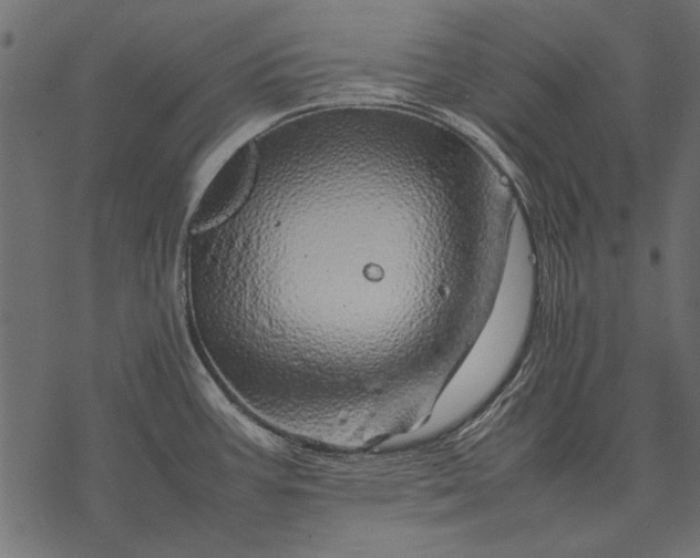 X0000077341387200611031744