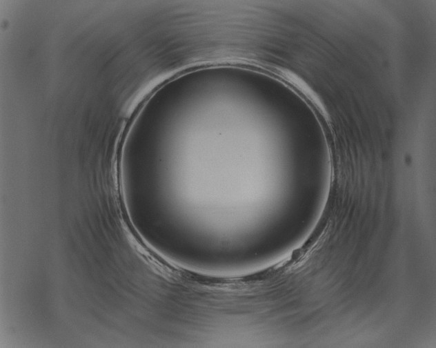 X0000077341388200611031744