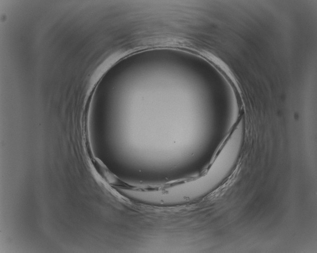X0000077341389200611031744