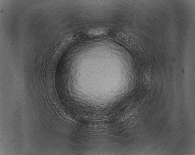 X0000077341393200611031744