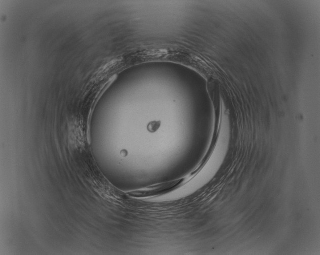X0000077341394200611031744