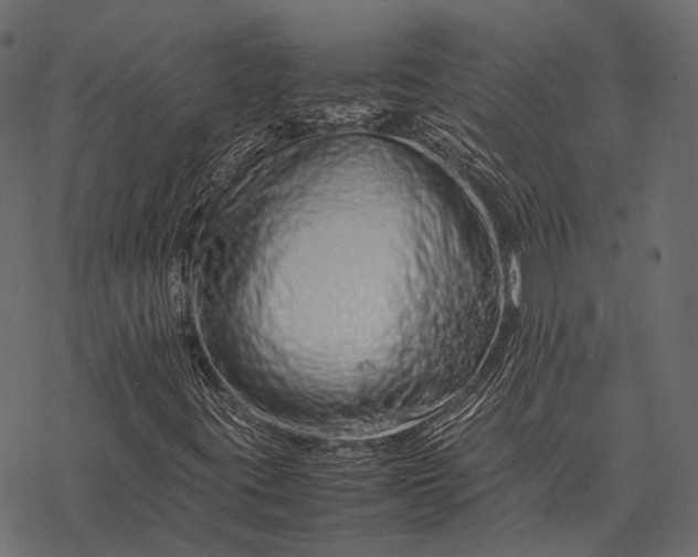 X0000077341395200611031744
