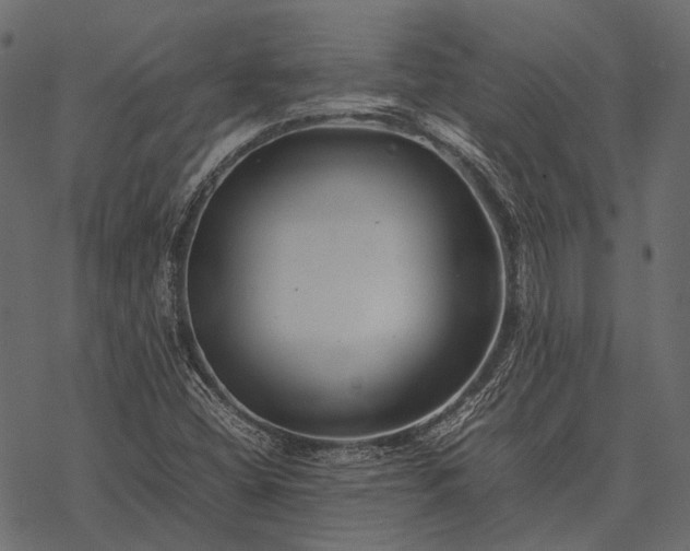 X0000077341404200611031744