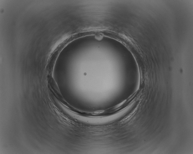 X0000077341406200611031744