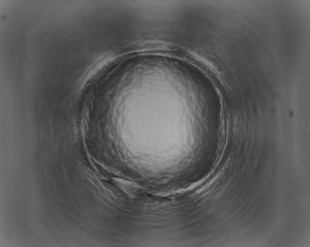 X0000077341407200611031744