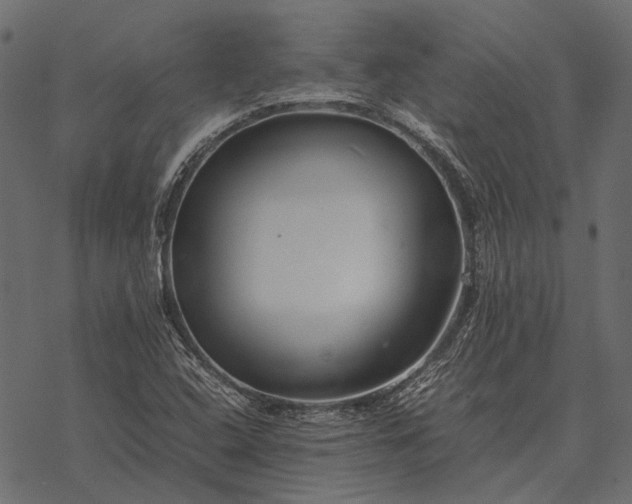 X0000077341408200611031744