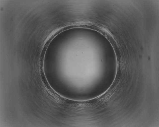 X0000077341412200611031744