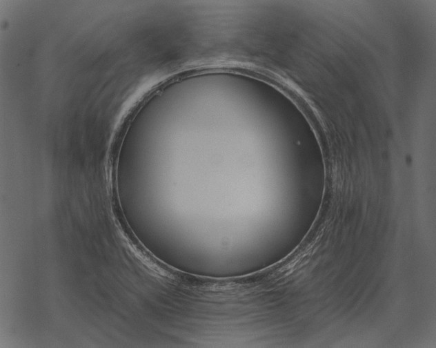 X0000077341416200611031744