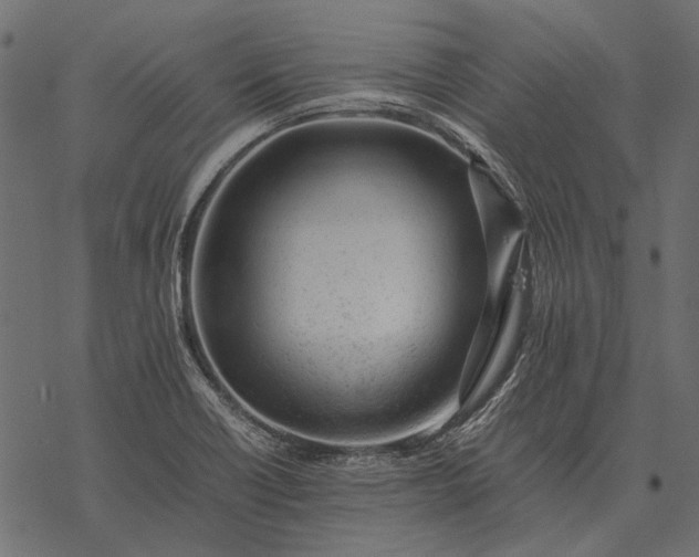 X0000077341418200611031744