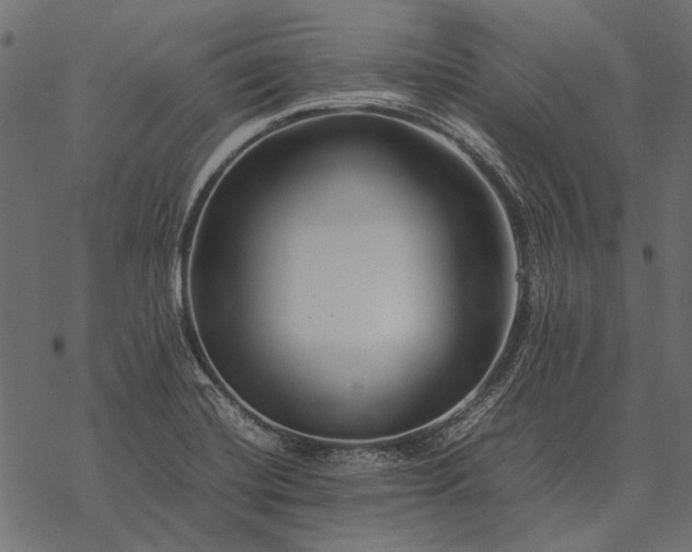X0000077341420200611031744