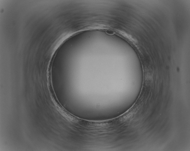 X0000077341423200611031744
