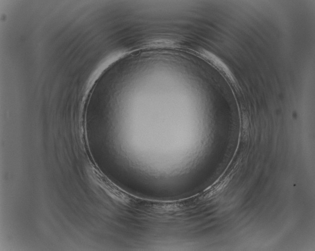 X0000077341435200611031744