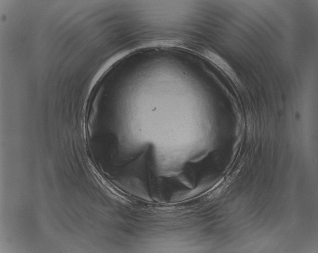 X0000077341436200611031744