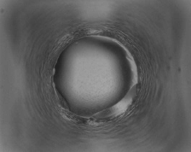 X0000077341441200611031744