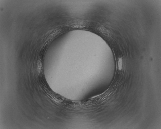 X0000077341444200611031744