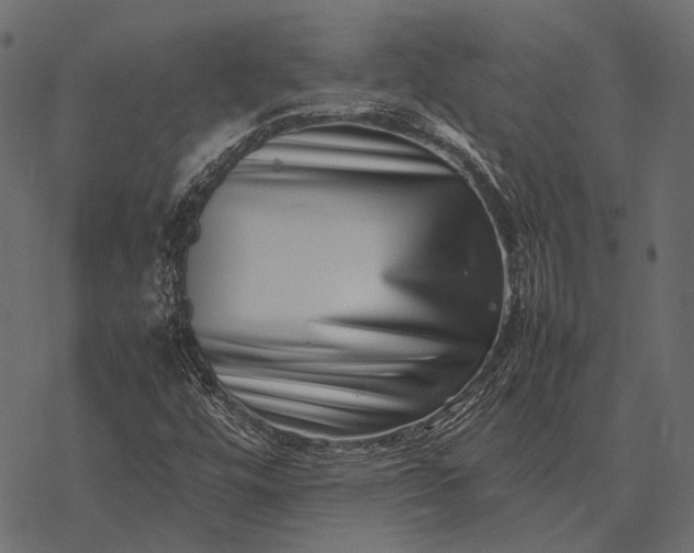X0000077341448200611031743