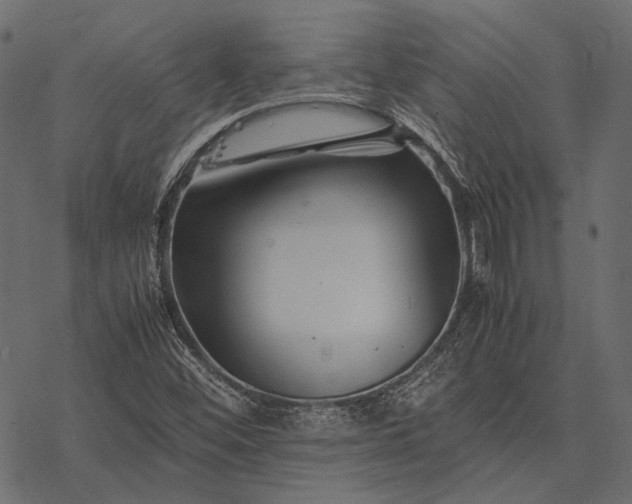 X0000077341452200611031743