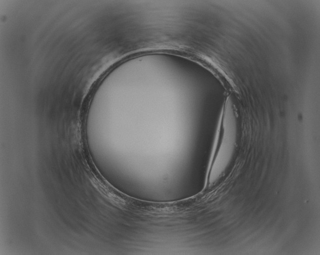 X0000077341460200611031743