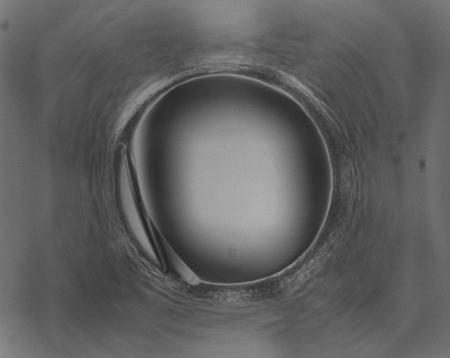 X0000077341461200611031743