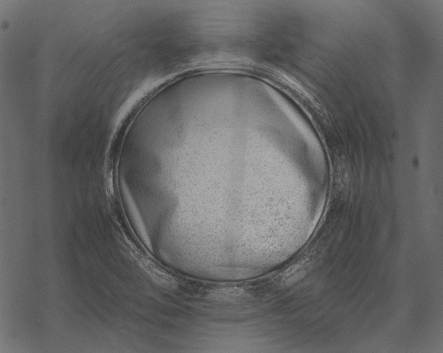 X0000077341462200611031743
