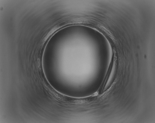X0000077341465200611031743