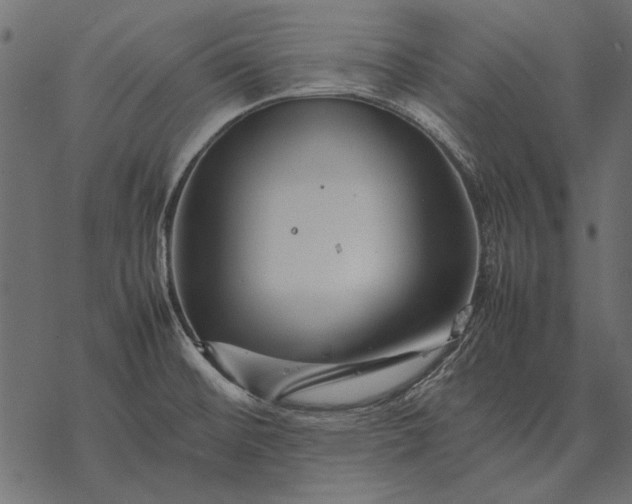 X0000077341476200611031743