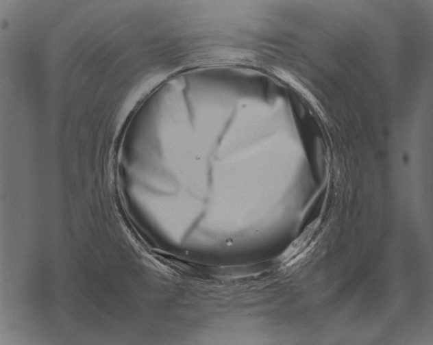 X0000077341477200611031743