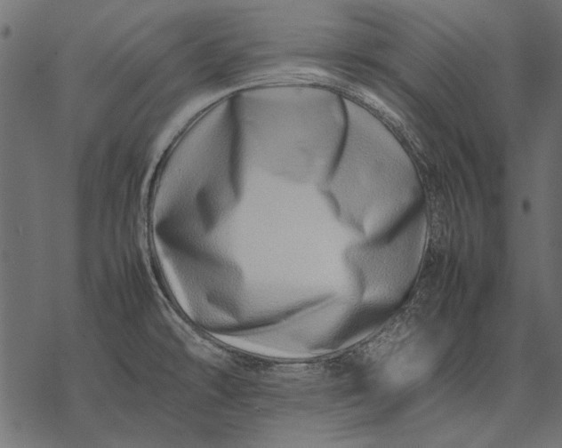 X0000077341478200611031743