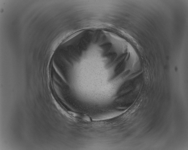 X0000077341479200611031743