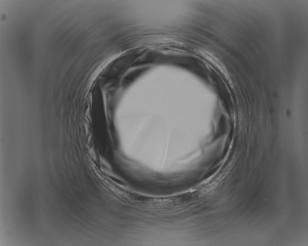 X0000077341481200611031743