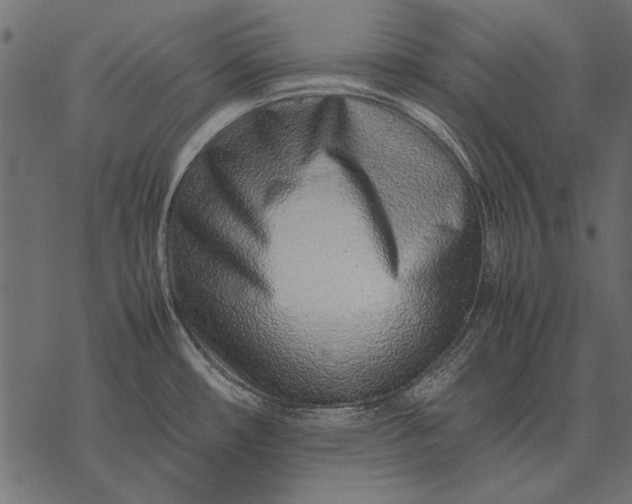 X0000077341482200611031743