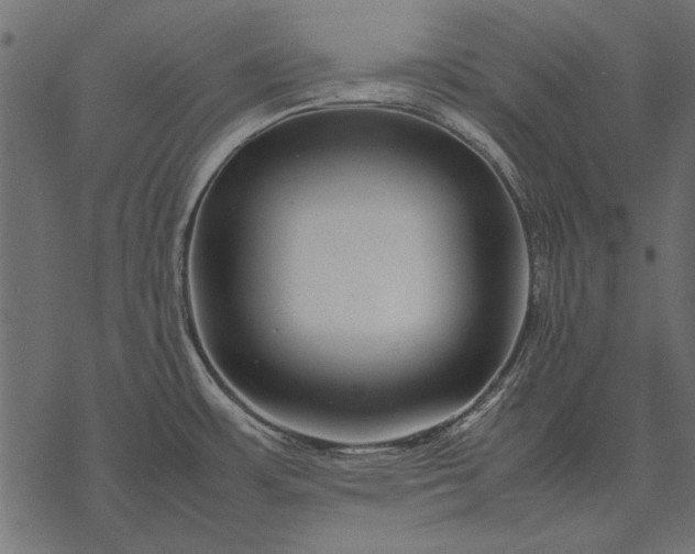X0000077341483200611031743