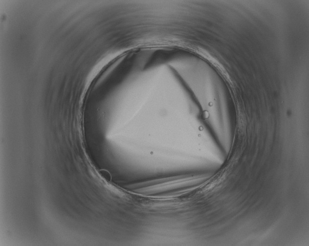 X0000077341486200611031743