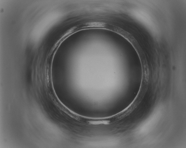 X0000077341487200611031743