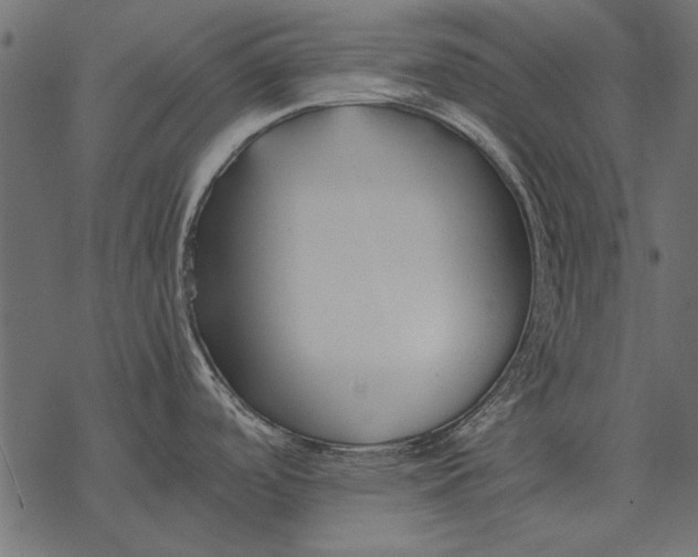 X0000077341488200611031743