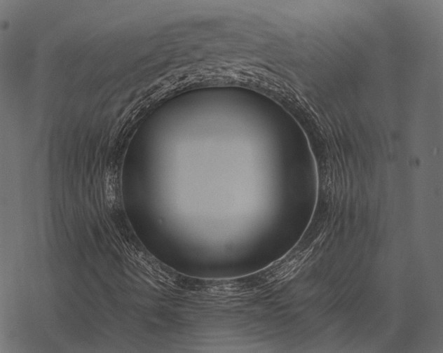 X0000077341490200611031742