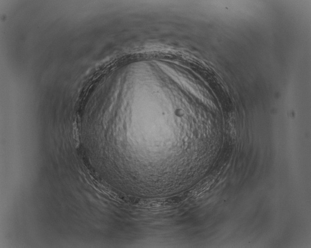 X0000077341493200611031742