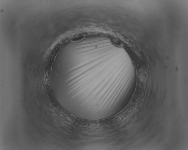 X0000077341495200611031742