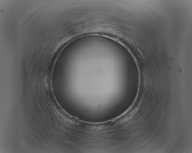 X0000077341497200611031742